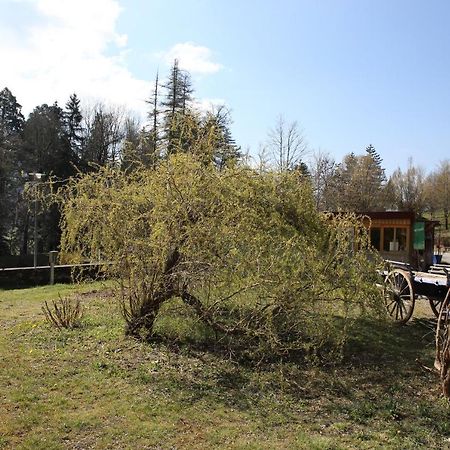 Le Veymont Villa Saint-Martin-en-Vercors Екстериор снимка