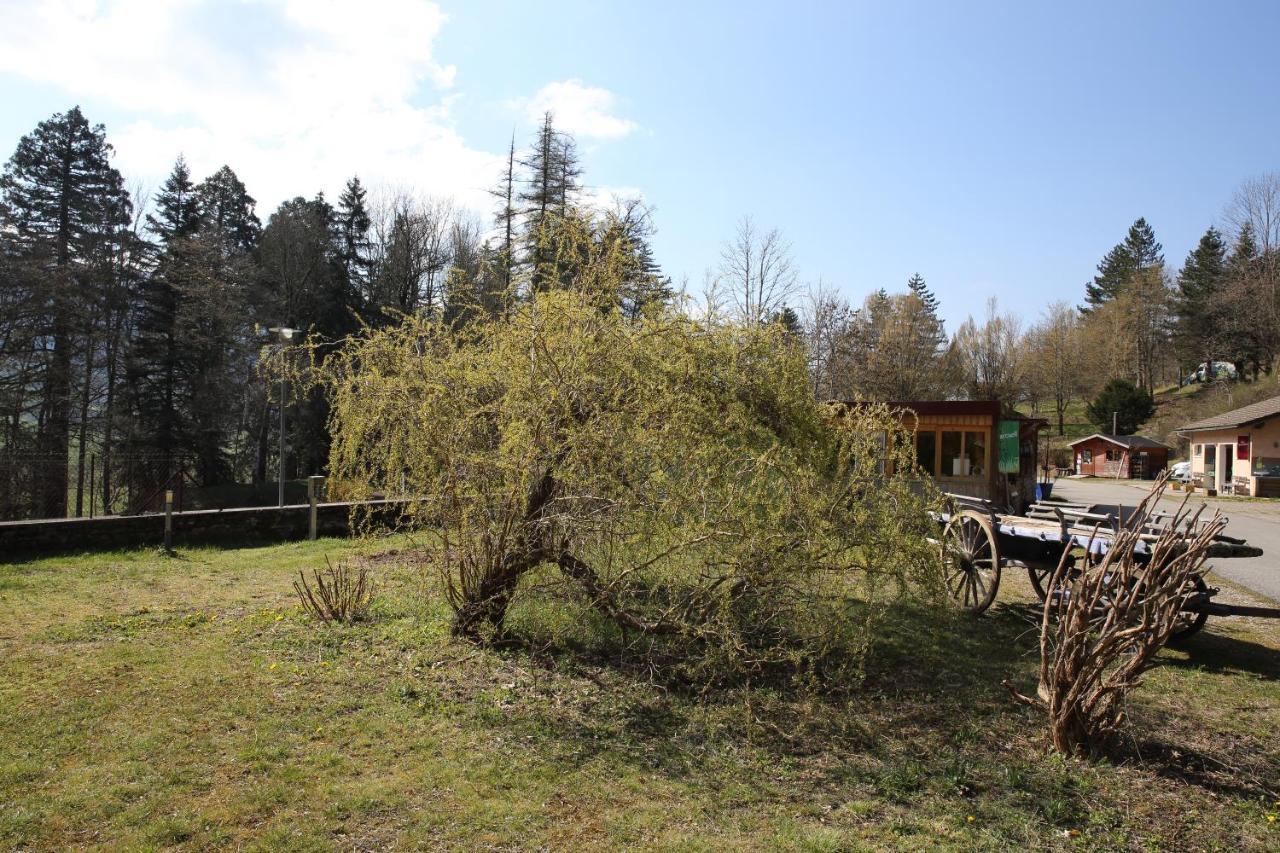 Le Veymont Villa Saint-Martin-en-Vercors Екстериор снимка