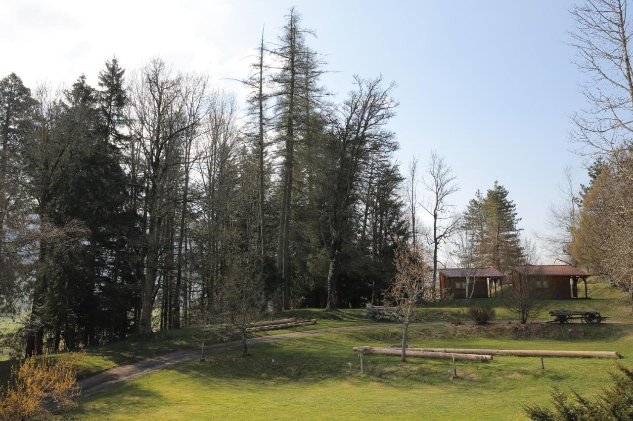 Le Veymont Villa Saint-Martin-en-Vercors Екстериор снимка